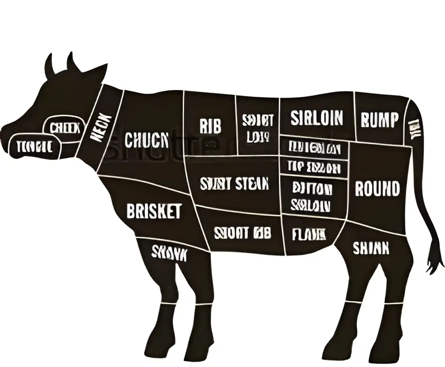 Beef Cuts Diagram